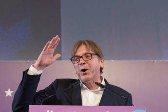 Salvini querela Verhofstadt Salvini querela Verhofstadt